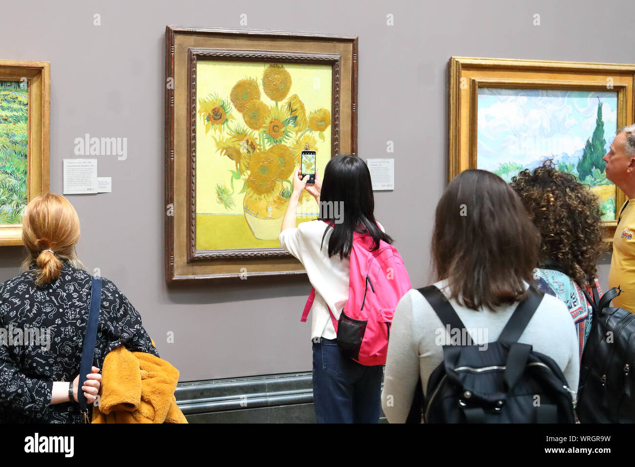 Giovane donna di scattare una foto di Vincent van Gogh girasoli con il suo smartphone alla National Gallery di Londra, Regno Unito Foto Stock