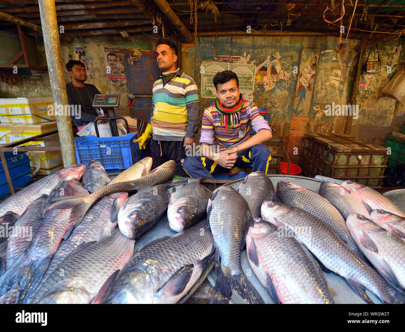 Dacca, Bengala IL BANGLADESH - 26 gennaio 2019: venditore di pesce sul mercato confezionati nella città capitale del Bangladesh, Dhaka Foto Stock
