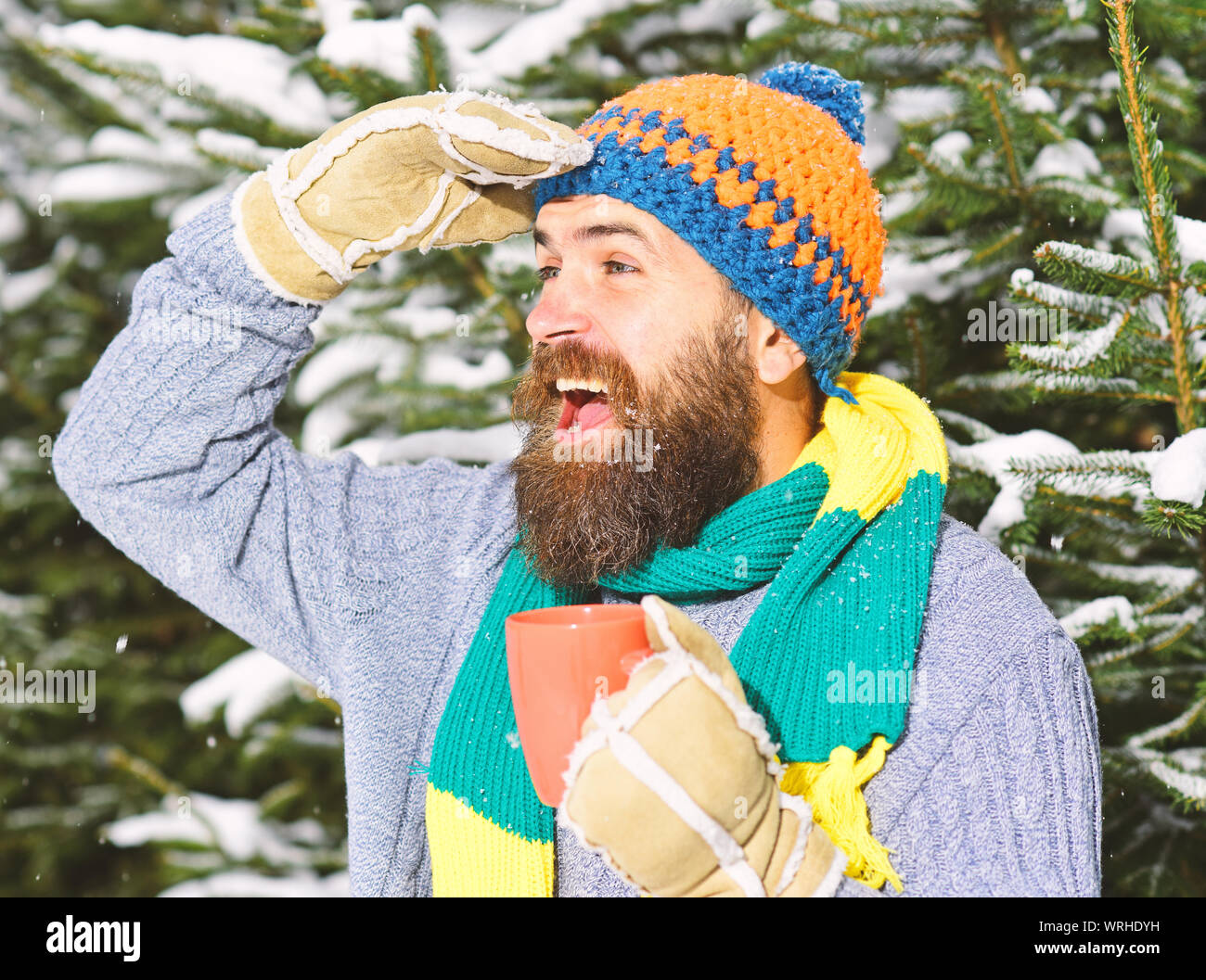 L uomo indossa berretto lavorato a maglia, sciarpa e guanti con faccia felice. Macho con la barba detiene cup e guarda lontano con mano vicino a fronte, vicino. Ragazzo con firtrees coperte di neve su sfondo sfocato. Foto Stock