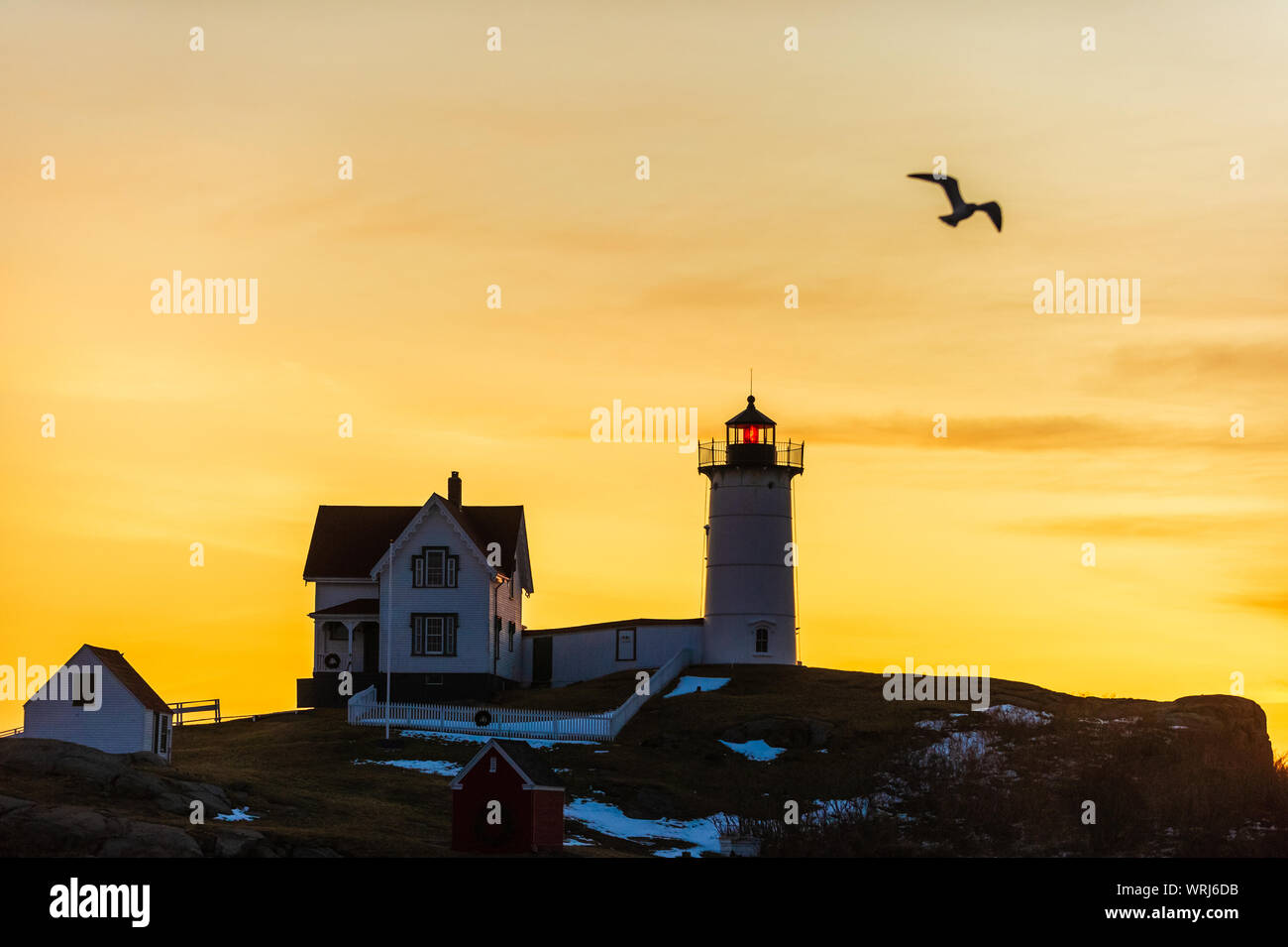 Cape Neddick 'Nubble Point Lighthouse, York, Maine, Stati Uniti d'America Foto Stock
