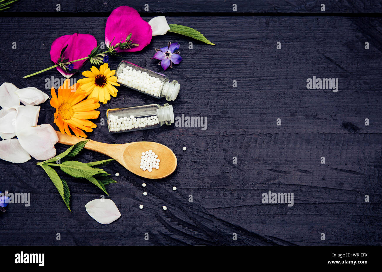 La medicina omeopatica pillole in vasetti e il cucchiaio di legno, decorata con un fresco e varie piante di erbe. L omeopatia concetto, molto spazio per il testo. Foto Stock