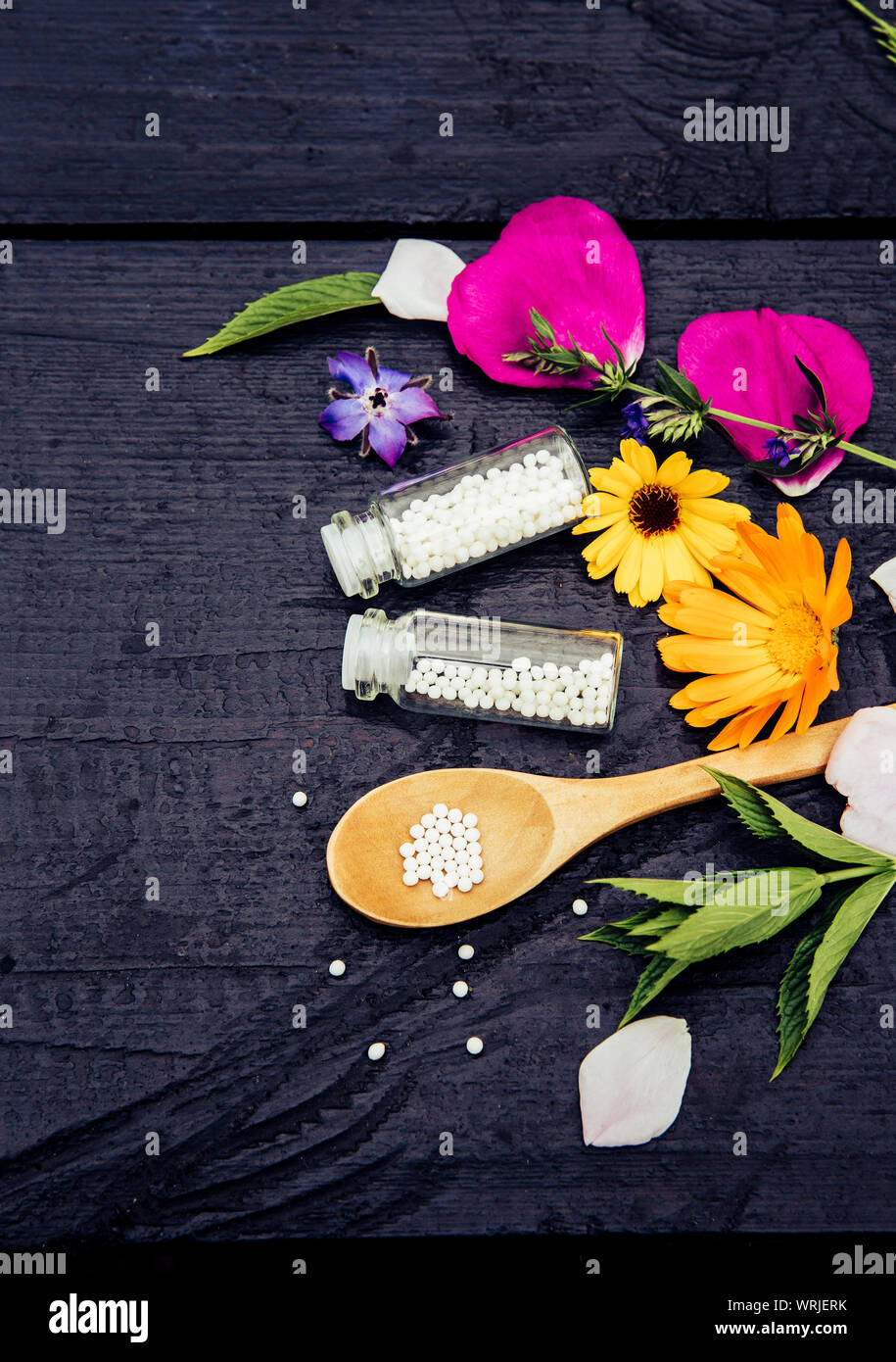 La medicina omeopatica pillole in vasetti e il cucchiaio di legno, decorata con un fresco e varie piante di erbe. L omeopatia concetto, molto spazio per il testo. Foto Stock