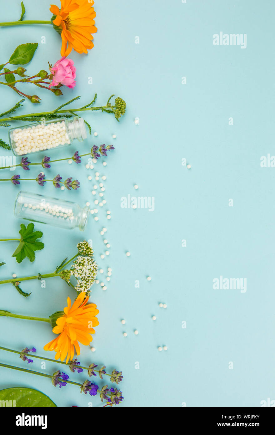Appartamento vista laici medicina omeopatica pillole in vasetti e versato intorno su fondo azzurro chiaro, decorato con un fresco e varie erbe e piante e fiori. Foto Stock