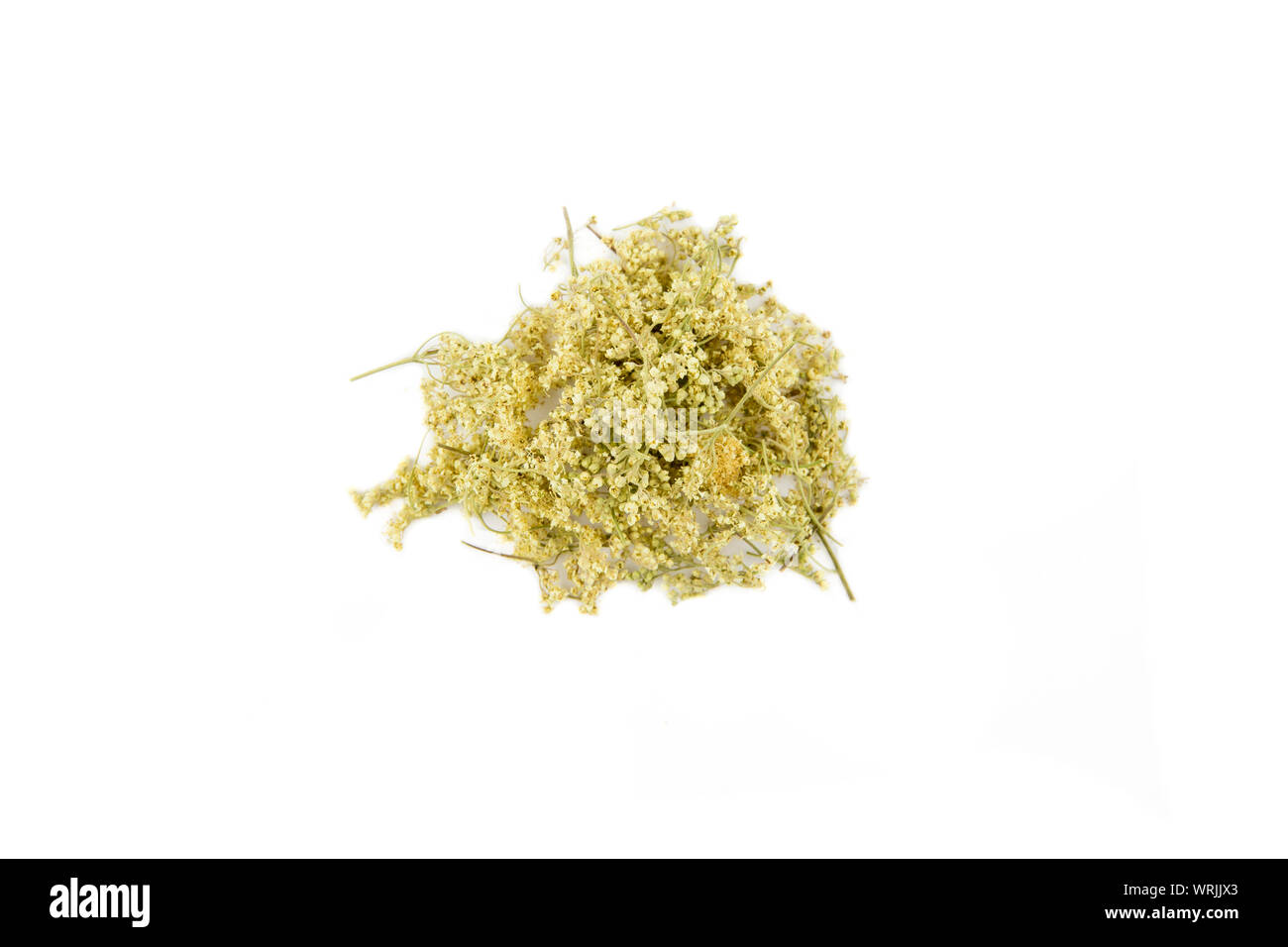 Essiccato Filipendula ulmaria, comunemente noto come olmaria o mead wort isolati su sfondo bianco. Organici essiccati tè alle erbe concetto. Foto Stock