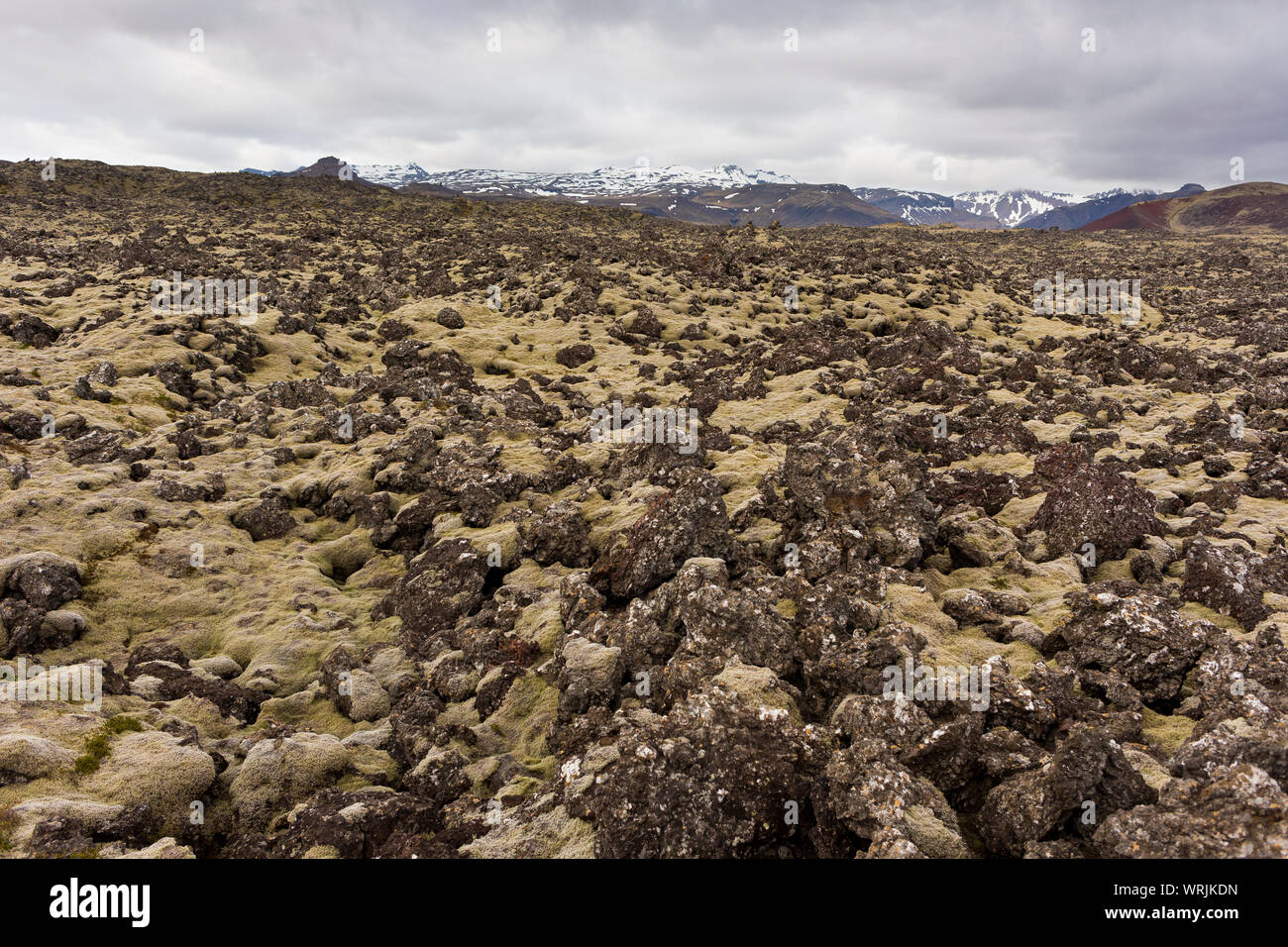 SNAEFELLSNES PENINSULA, Islanda - campo di lava. Foto Stock