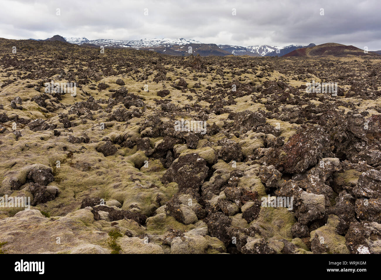 SNAEFELLSNES PENINSULA, Islanda - campo di lava. Foto Stock