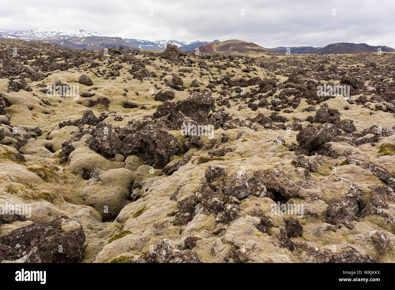 SNAEFELLSNES PENINSULA, Islanda - campo di lava. Foto Stock