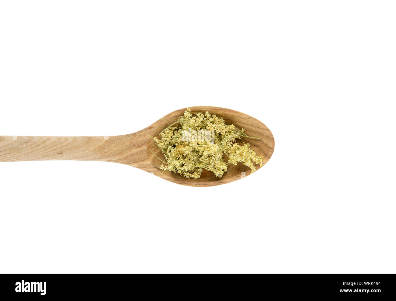 Essiccata la medicina di erbe Filipendula ulmaria, Olmaria o mead il mosto di malto, regina del prato, orgoglio dei prati, prati-wort, prato regina, dollof, mea Foto Stock