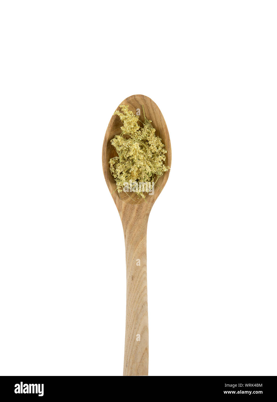 Essiccata la medicina di erbe Filipendula ulmaria, Olmaria o mead il mosto di malto, regina del prato, orgoglio dei prati, prati-wort, prato regina, dollof, mea Foto Stock