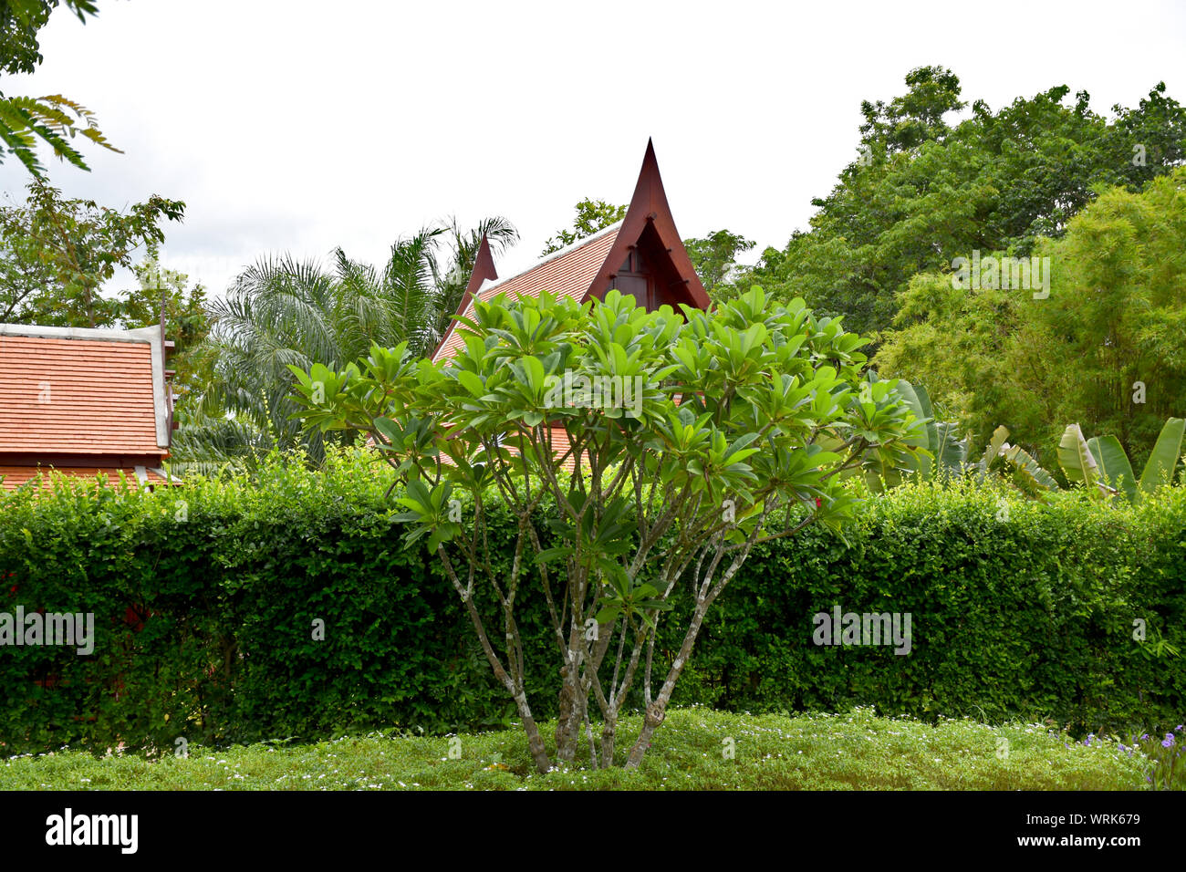 Kanchanaburi, Thailandia, 09.09.2019: bellissimo giardino, lago, tailandese tradizionale Siamese, vestiti, edifici di 'Mallika città R.E. 124' un patrimonio, retro- Foto Stock