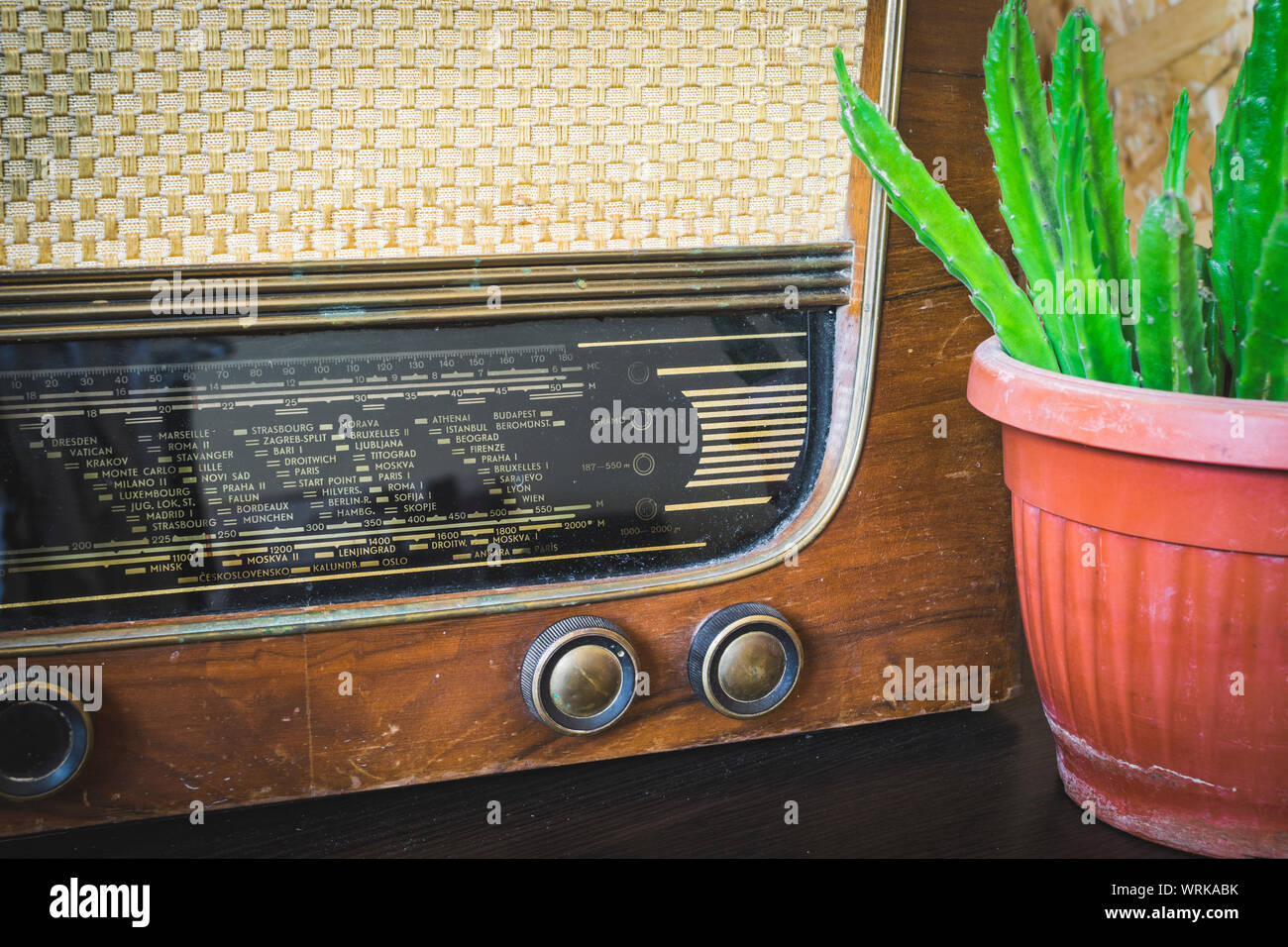 Chiudere fino sulla vecchia radio vintage su pavimenti in legno e cactus in vaso di fiori. Foto Stock