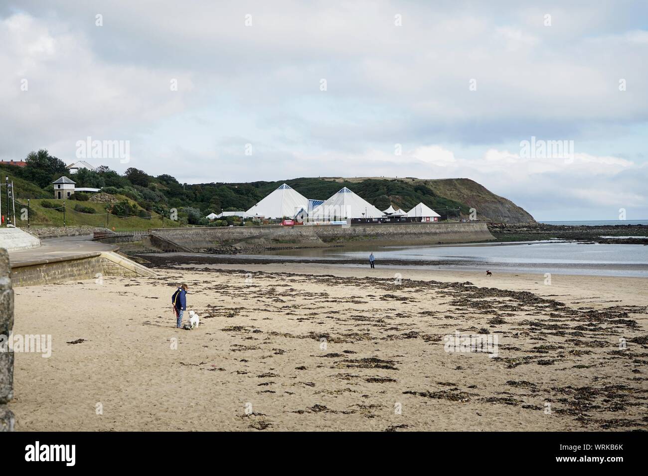 La spiaggia di North bay con dog walker sulle sabbie in Scarborough guardando al Sea Life Centre in Scarborough Yorkshire Inghilterra Foto Stock