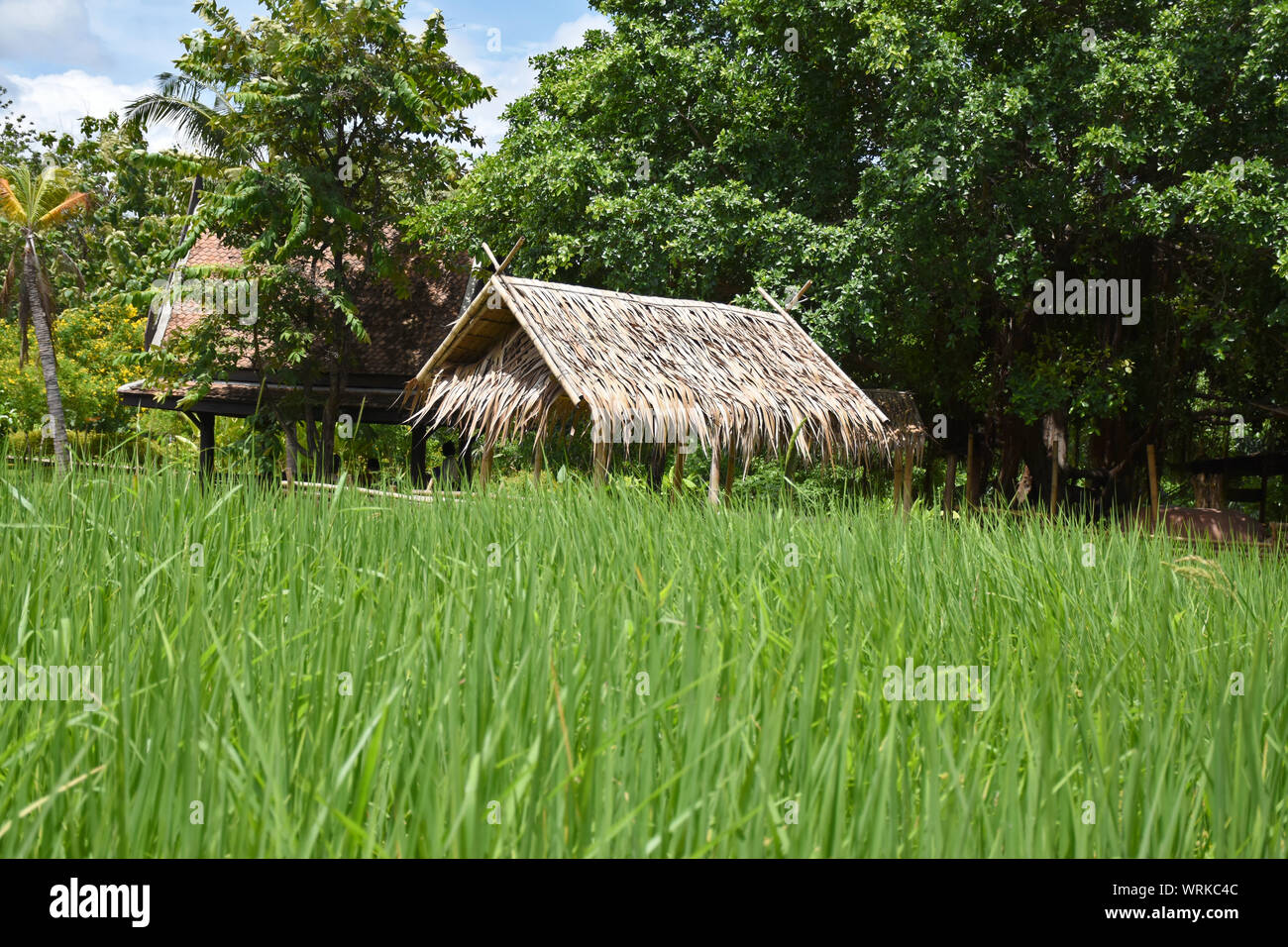 Kanchanaburi, Thailandia, 09.09.2019: bellissimo giardino, lago, tailandese tradizionale Siamese, vestiti, edifici di 'Mallika città R.E. 124' un patrimonio, retro- Foto Stock