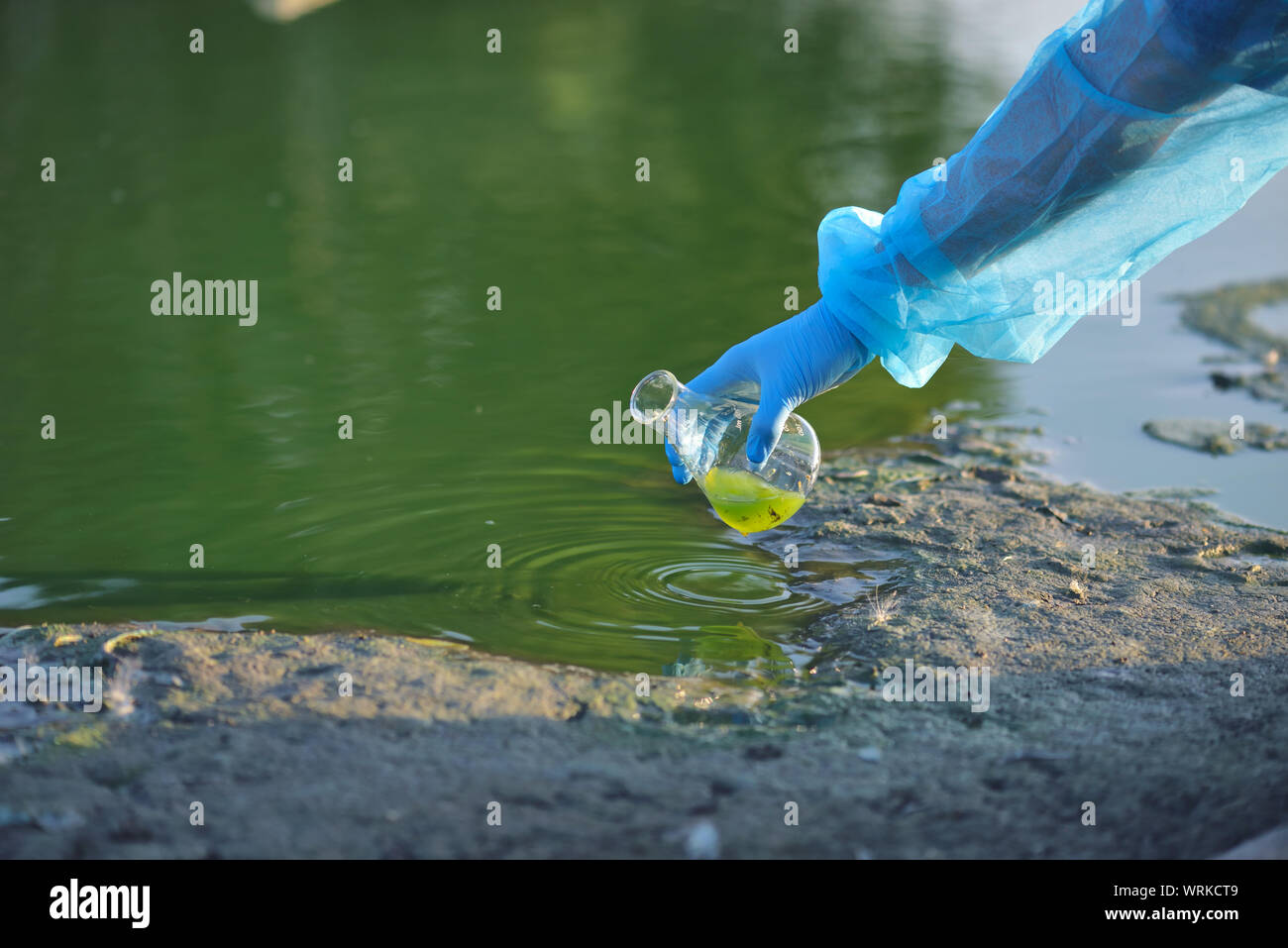 Close-up mano ambientalista di un ricercatore in un processo di prelievo di un campione di acqua contaminata da un lago Foto Stock