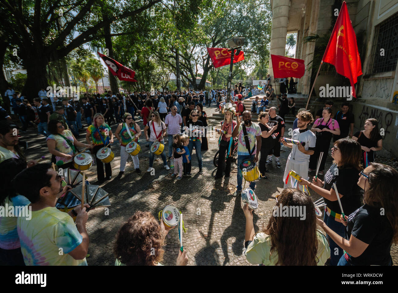 Folla per le strade marching dell Amazzonia e meno pesticidi in un ambiente pro protesta durante il brasiliano giorno di indipendenza Foto Stock