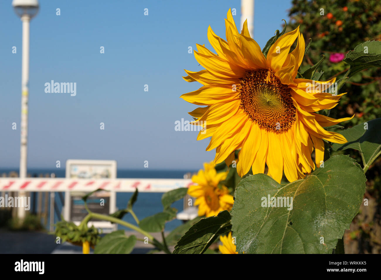 La vacanza isola brilla con un paesaggio unico. Vedere le belle sfaccettature di questo luogo Foto Stock