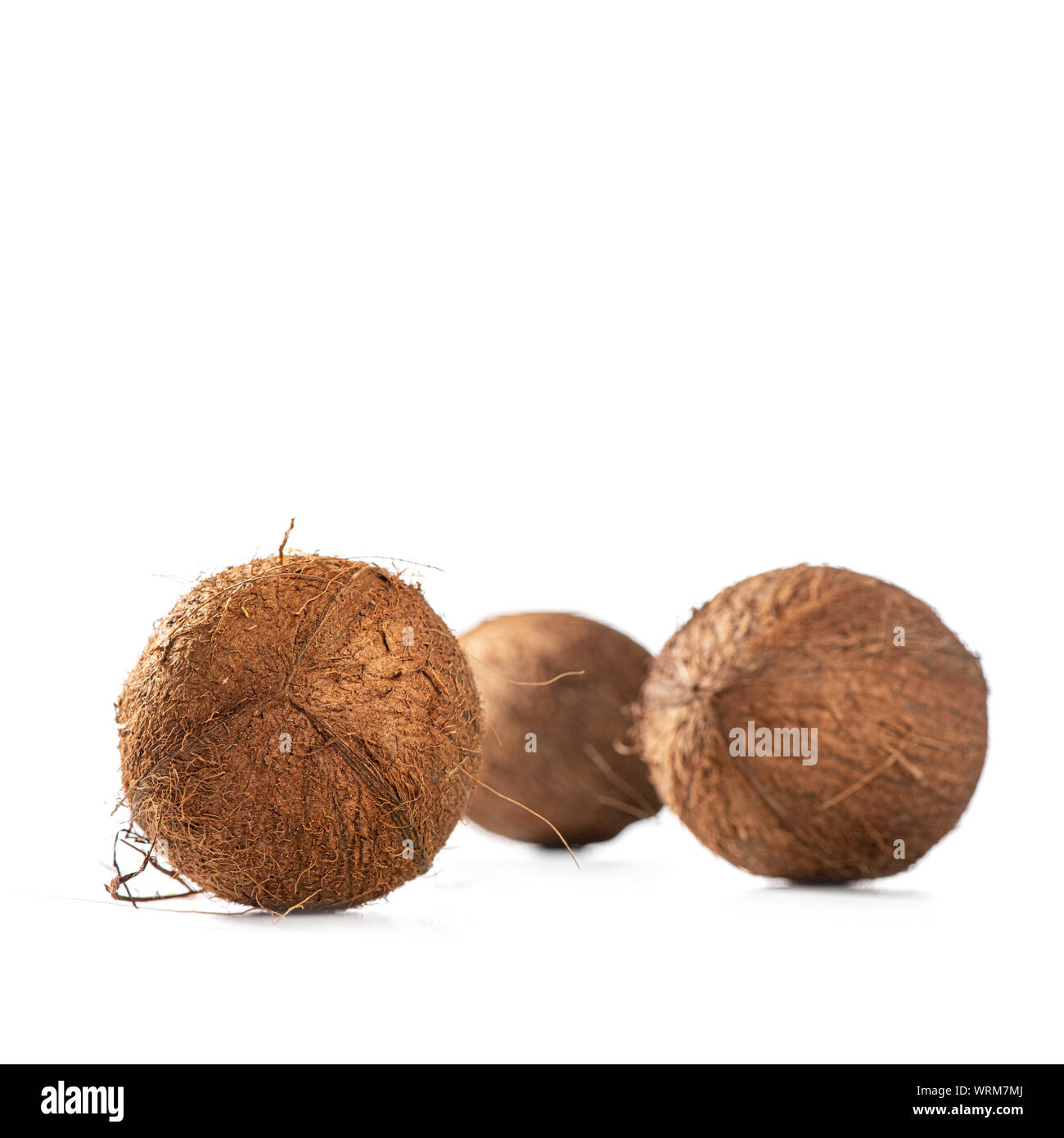 Tre shaggy noci di cocco su sfondo bianco, quadrato Foto Stock