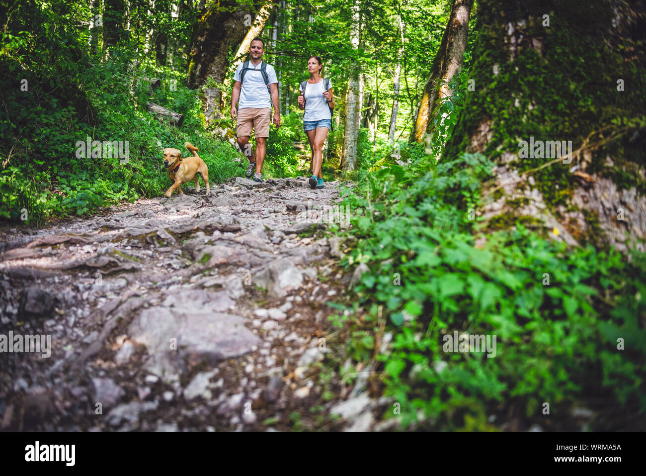 Giovane con un piccolo giallo cane escursioni nella foresta Foto Stock Giovane con un piccolo giallo cane escursioni nella foresta Foto Stock