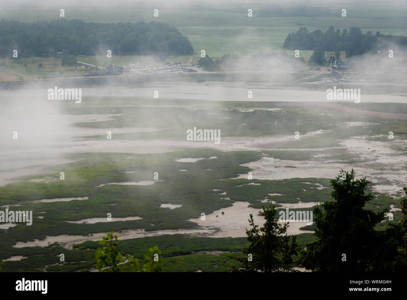 Nebbioso giorno dal fiume St-Laurent, campo da golf Foto Stock
