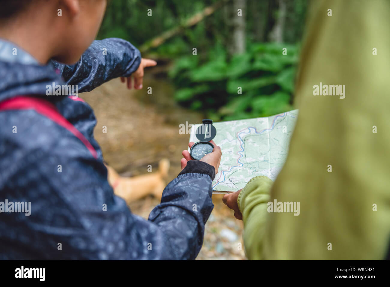 La figlia e la madre escursioni nella foresta con la bussola e la mappa per la navigazione Foto Stock La figlia e la madre escursioni nella foresta con la bussola e la mappa per la navigazione Foto Stock
