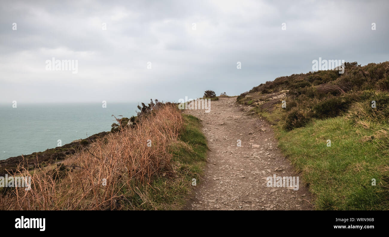 Sentiero escursionistico sulla scogliera che costeggia il mare a Howth, Irlanda Foto Stock