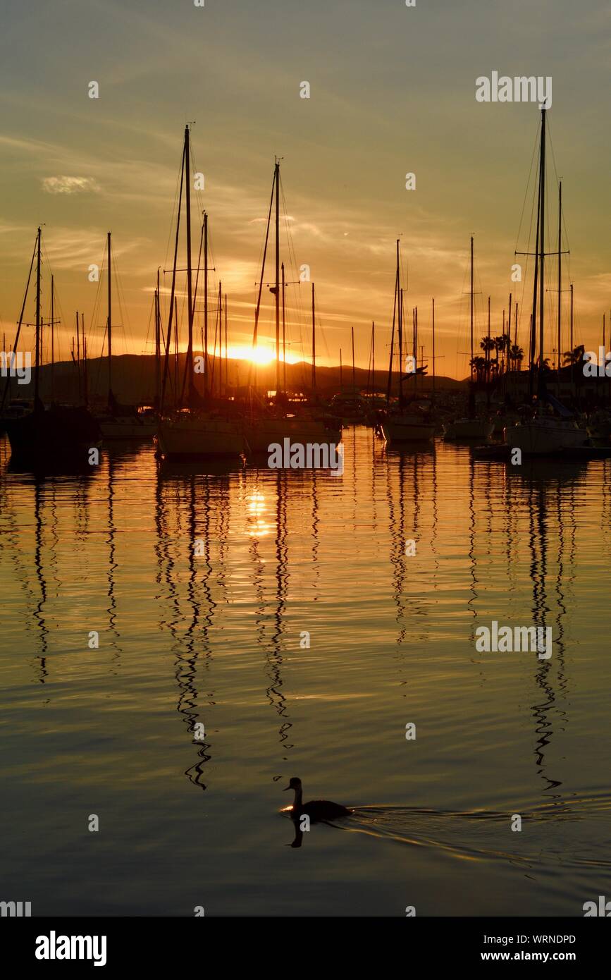 Calma e tranquilla mattina presto all'alba nel porto di San Diego e marina, con barche a vela ormeggiata, San Diego, California, Nord America, STATI UNITI D'AMERICA Foto Stock