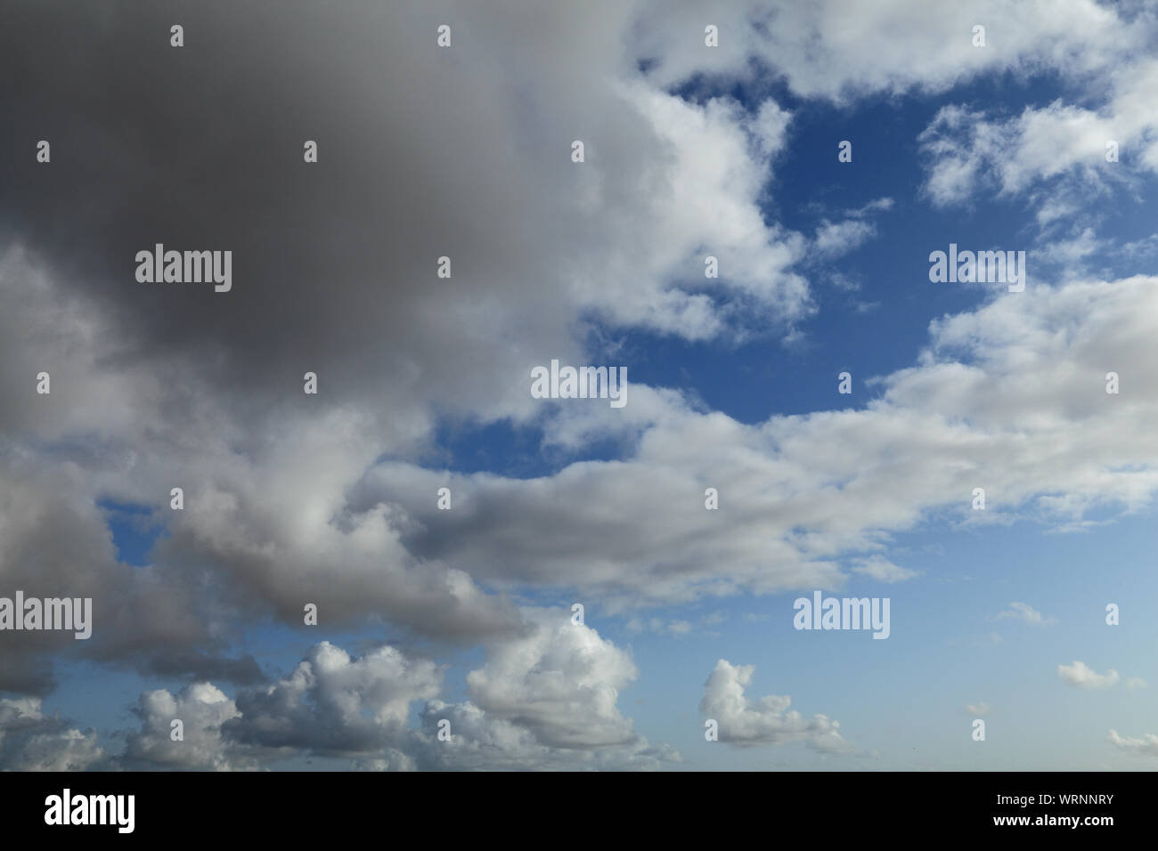 Bianco, cumulus, cloud, nuvole, cielo blu, cieli, meteo, formazione, England, Regno Unito Foto Stock