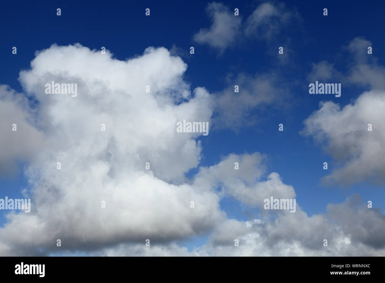 Bianco, cumulus, cloud, nuvole, cielo blu, cieli, meteo, formazione, England, Regno Unito Foto Stock