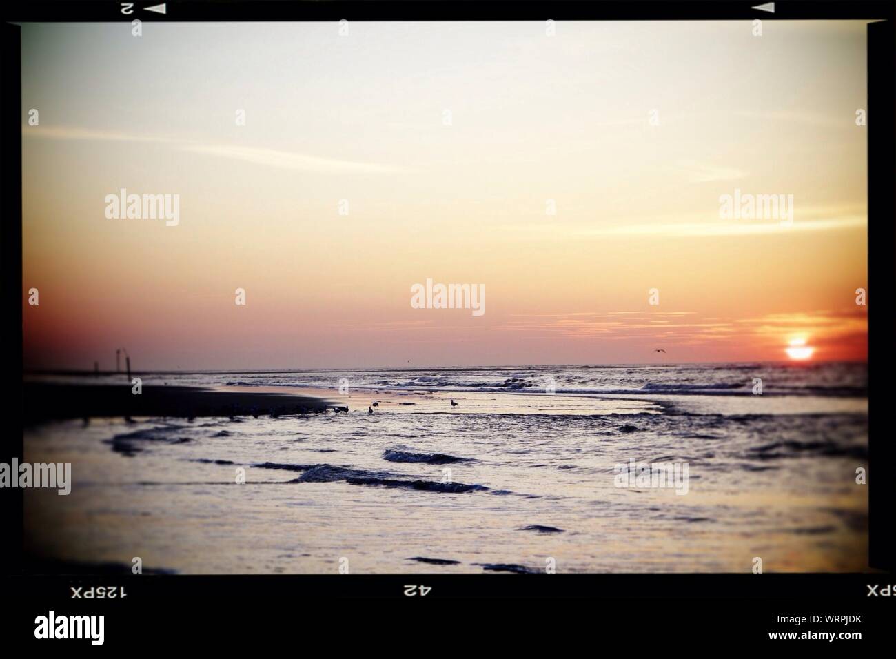 Vista del mare calmo al tramonto Foto Stock