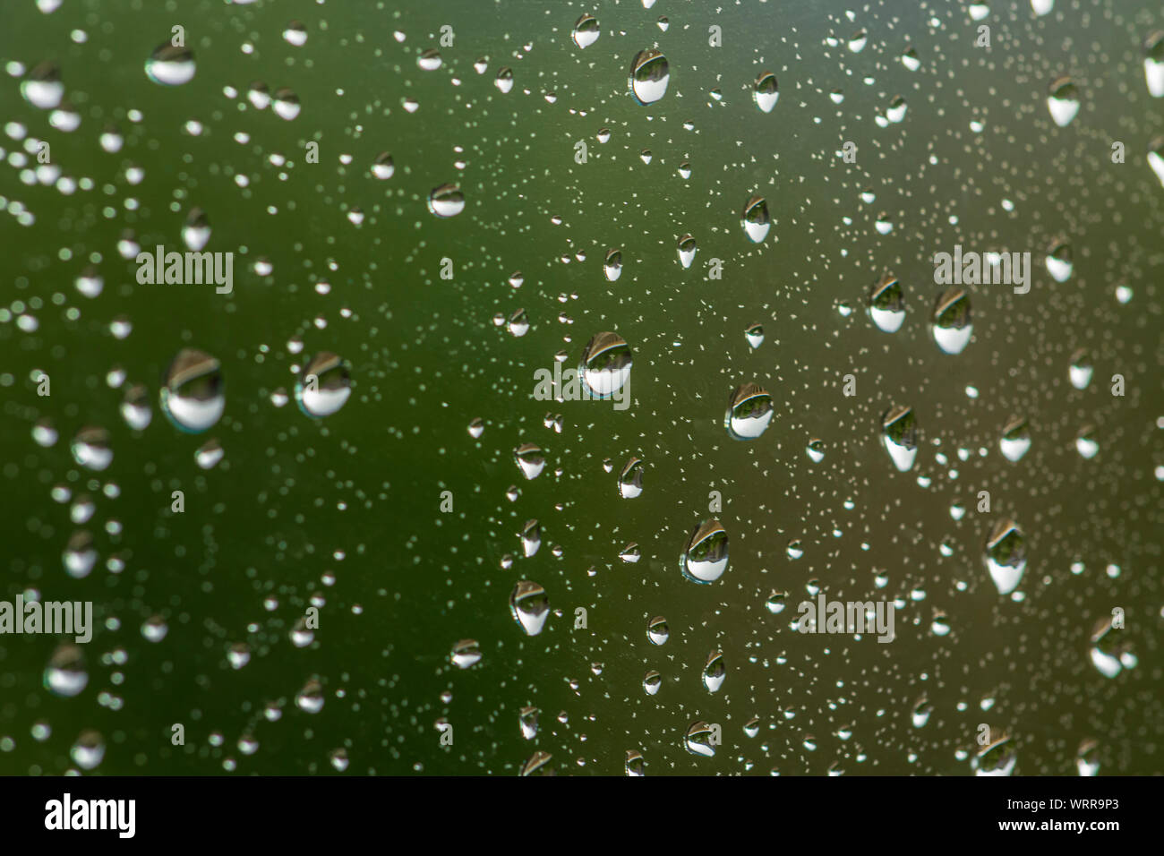 Gocce di pioggia raccolti sul vetro della finestra durante la tempesta, Castle Rock Colorado US. Foto scattata nei primi giorni di settembre. Foto Stock