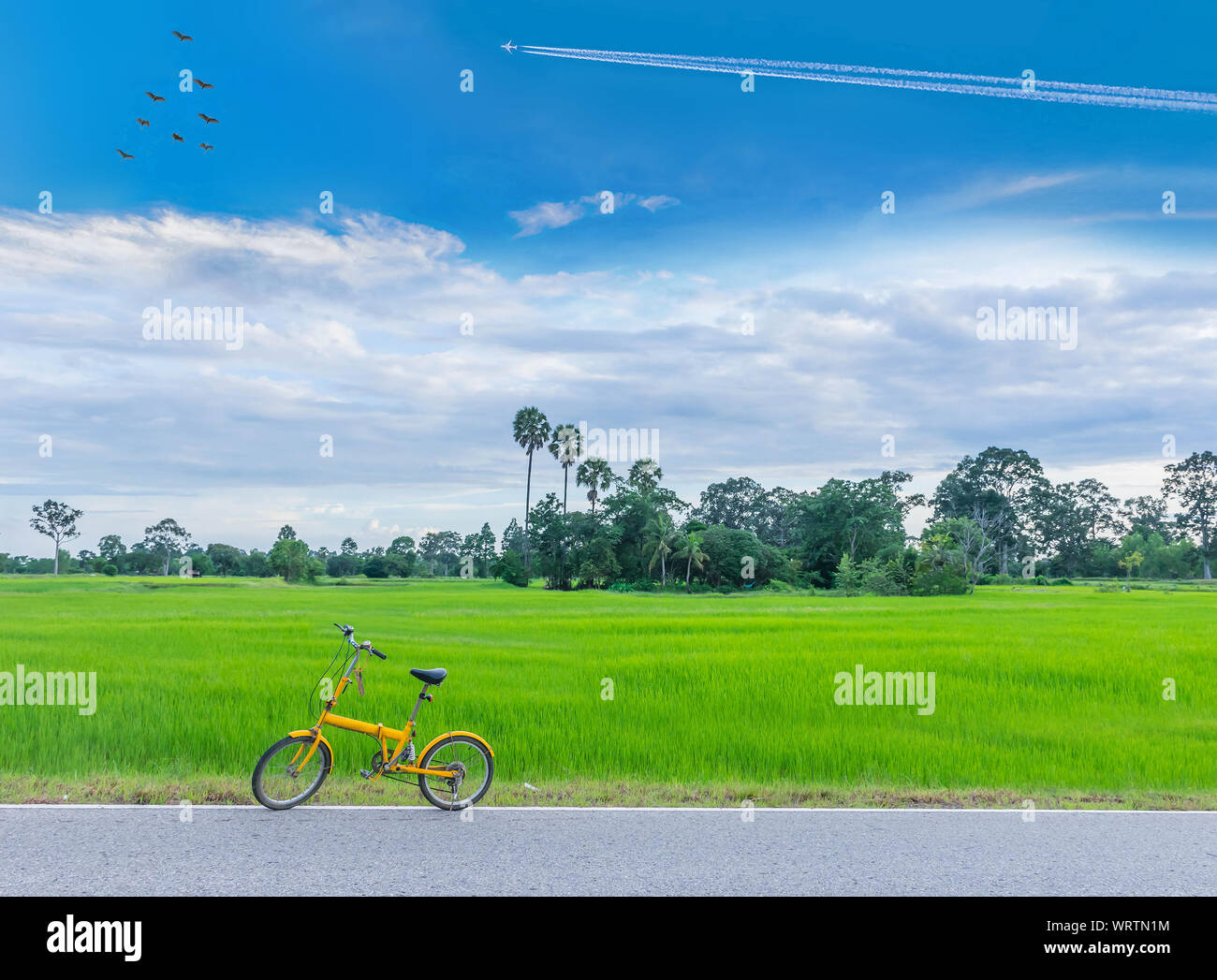 Green risone campo, strada, bicicletta, il bellissimo cielo e cloud in Thailandia. Foto Stock