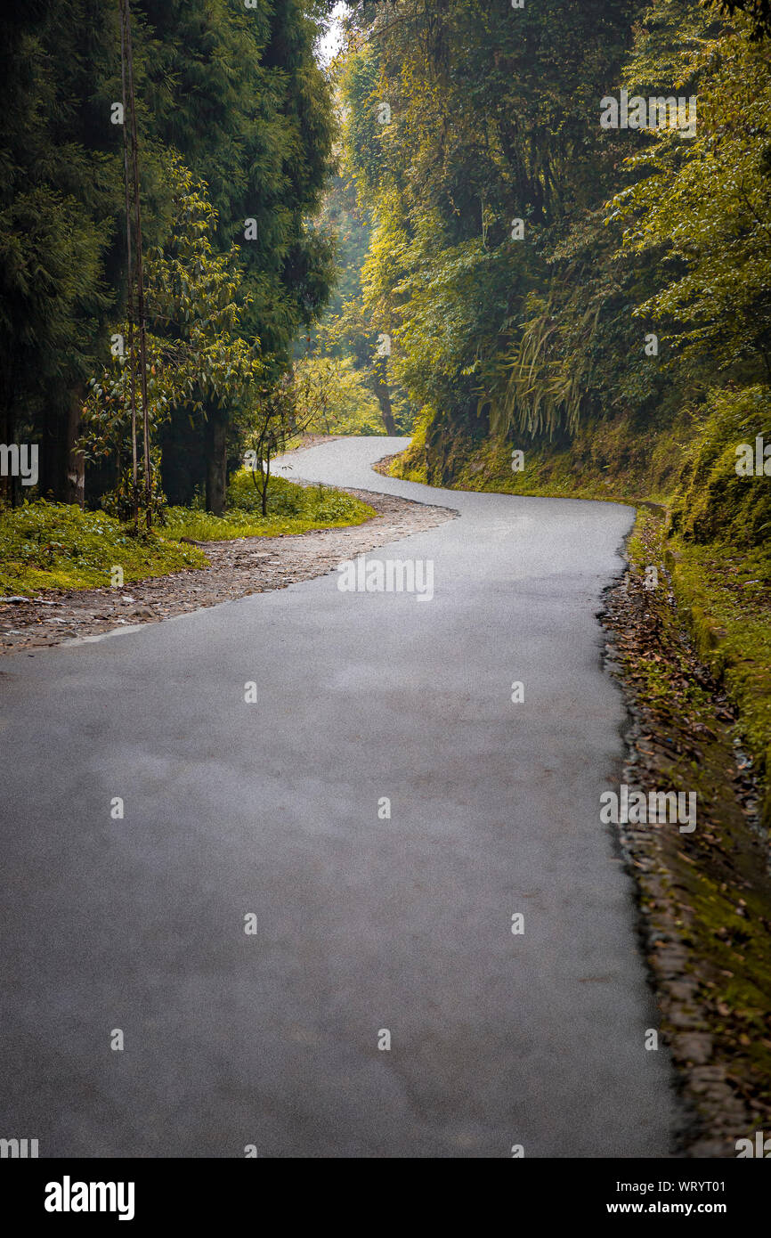 Una strada curva con pesanti di verde e di alberi cade nella città di ortografia nello stato del Sikkim in India Foto Stock