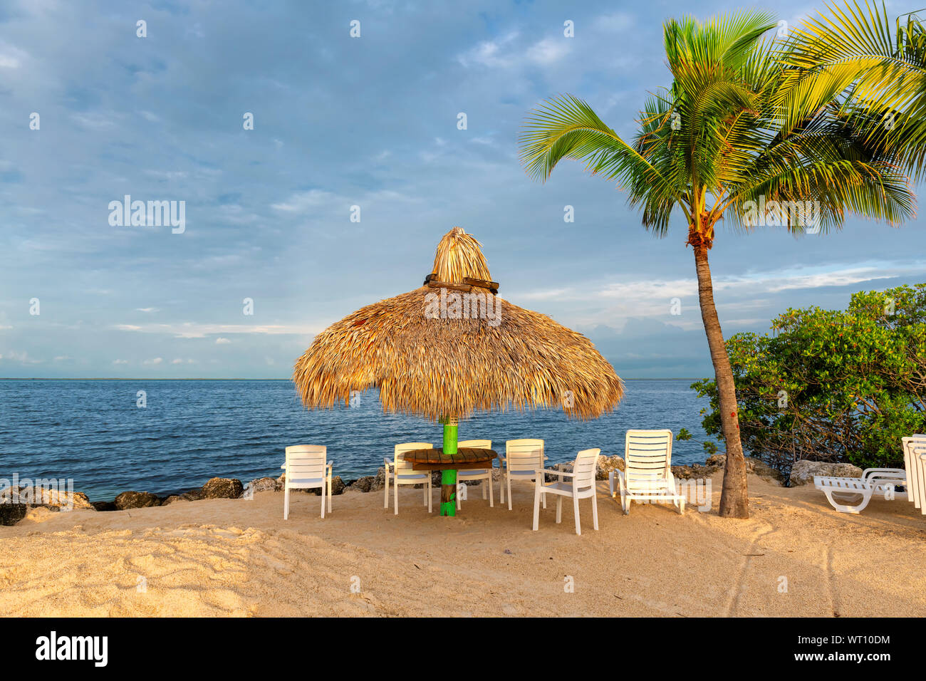 Ombrellone e palme su un resort tropicale Foto Stock