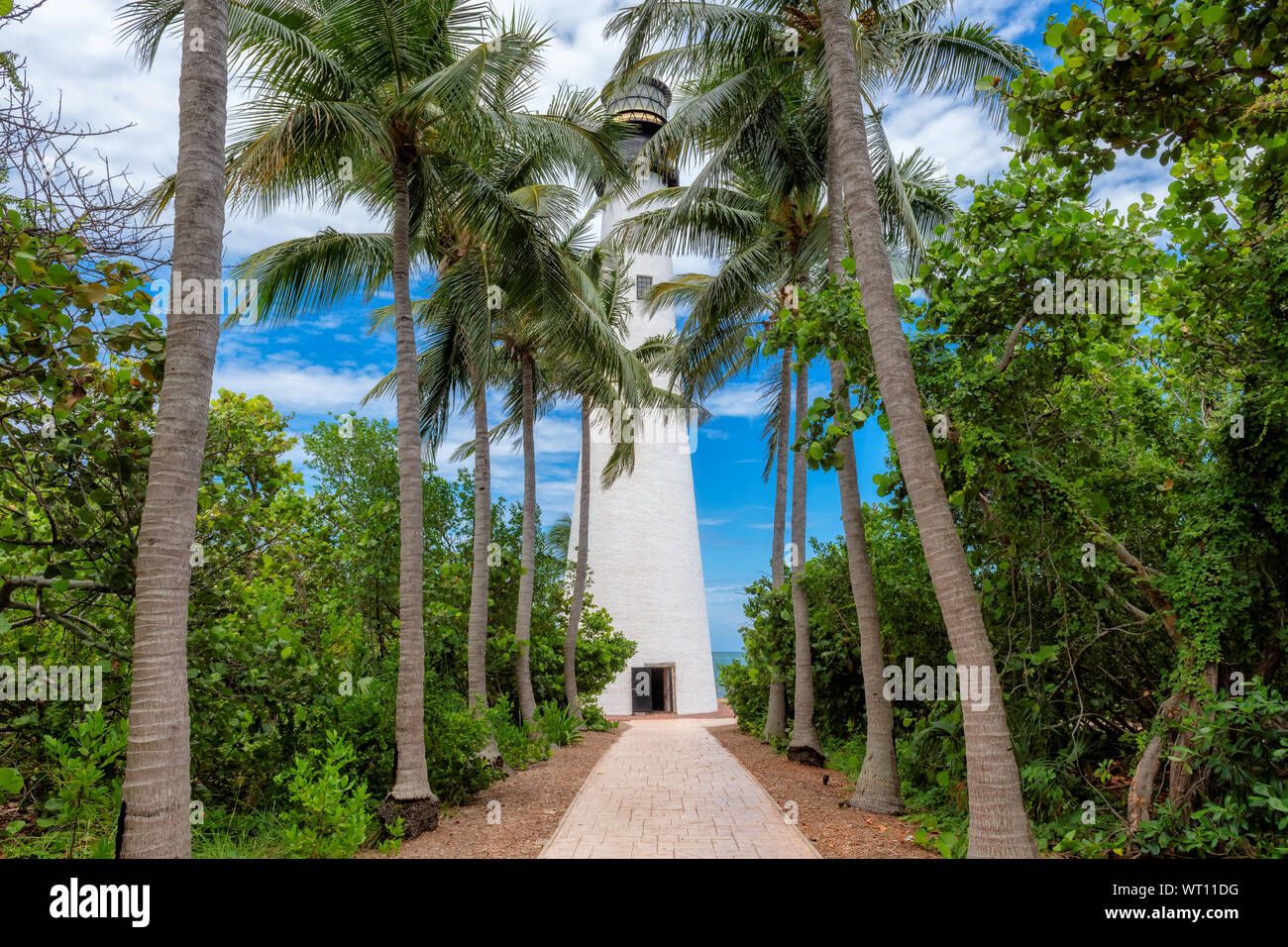 Cape Florida Lighthouse e palme intorno Foto Stock