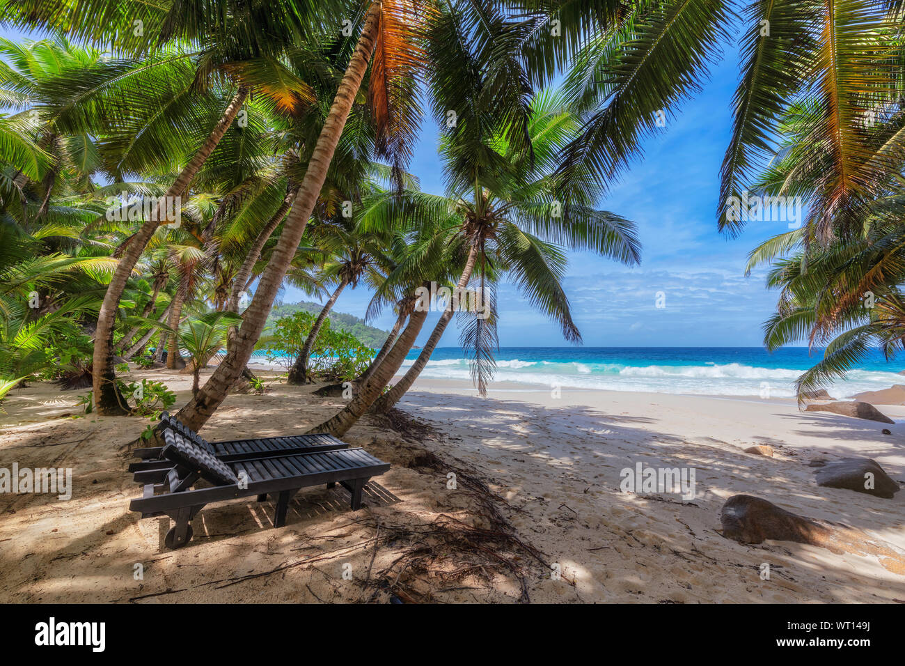 Esotica spiaggia con sdraio in spiaggia, di sabbia bianca e mare tropicale sull'isola di paradiso. Foto Stock