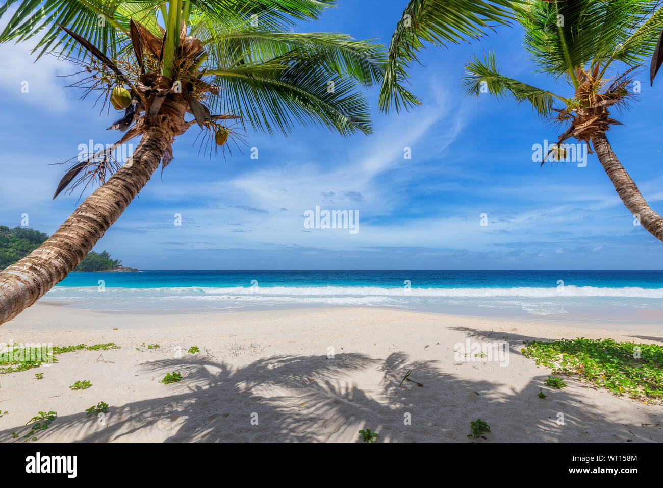 Esotica spiaggia con sabbia bianca e mare tropicale sull'isola di paradiso. Foto Stock