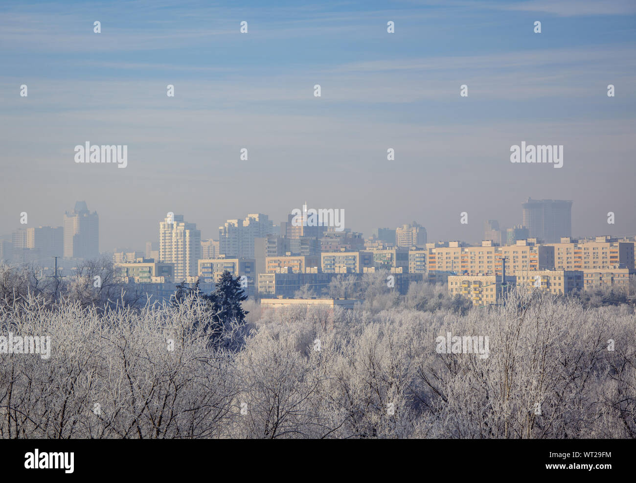 Distanza città e gli alberi vicino. Snowy frosty foschia mattutina. Paesaggio. Foto Stock