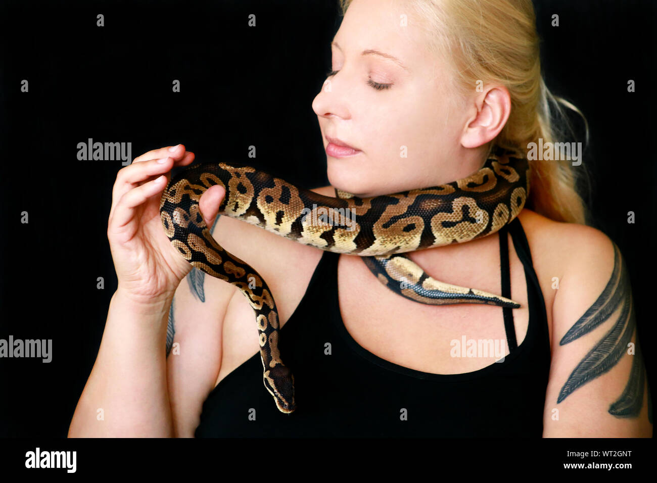 Ritratto di ragazza con Royal Python snake. La donna mantiene la sfera Python snake attorno al collo e in mani, in posa davanti alla telecamera. Foto Stock