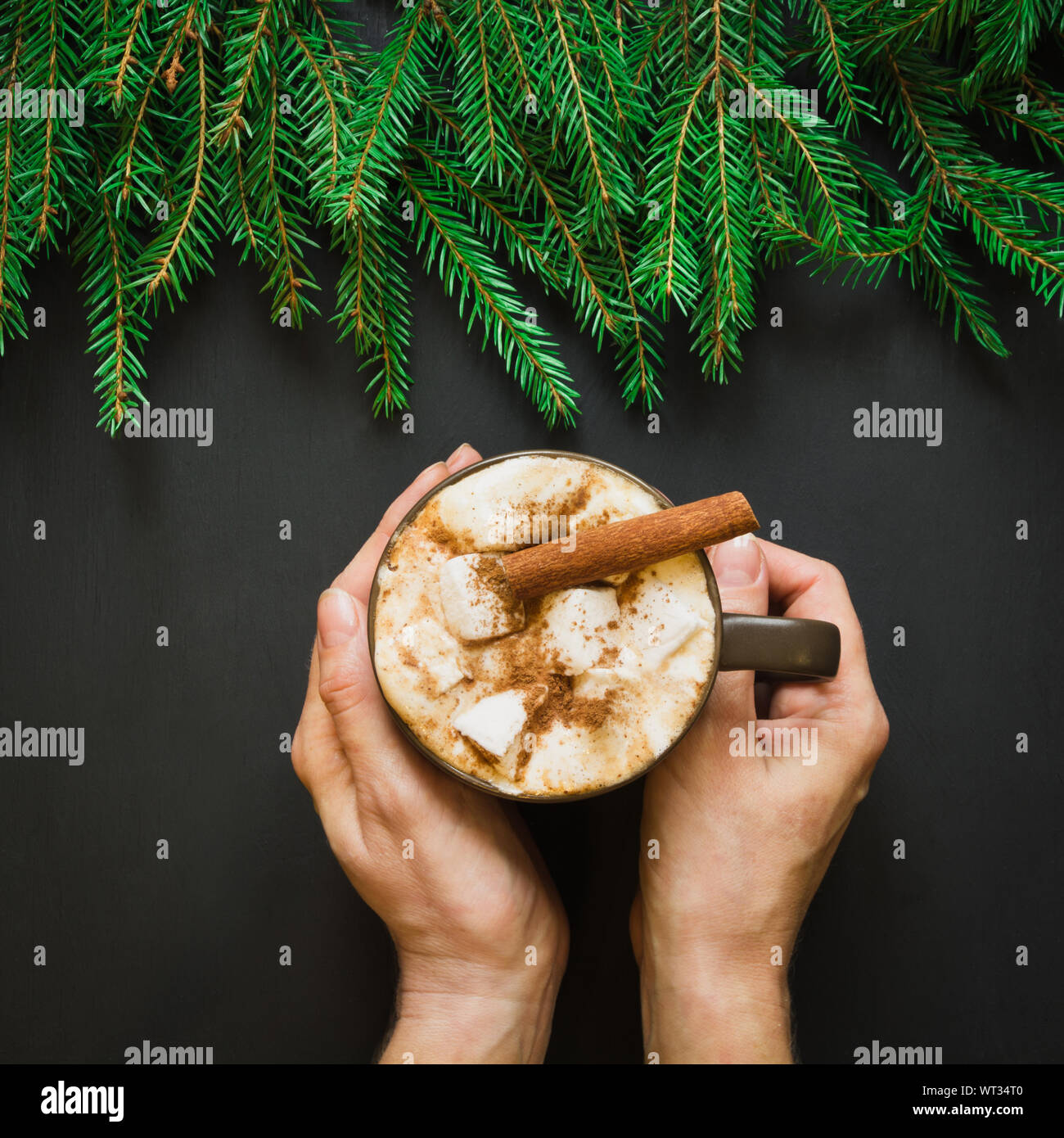 Natale tradizionale bevanda. Cioccolata calda con marshmallows e cannella su sfondo nero con albero di natale ramo. Holiday card. Close up. Foto Stock