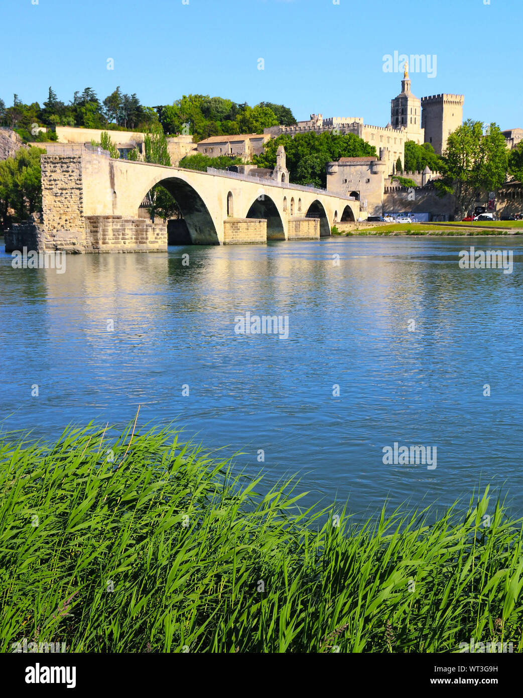 Il ponte Saint-Benezet sul Rhone . Avignone . Provenza.Francia. Foto Stock