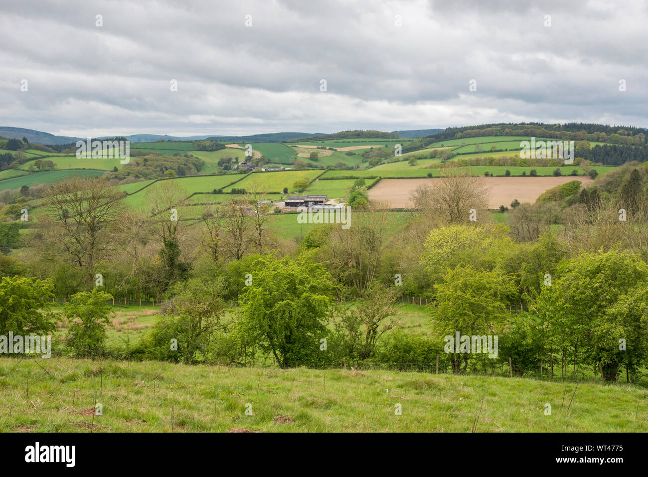 Giornata di Primavera a Hopesay collina vicino a Craven Arms in SHropshire hills, Inghilterra. Foto Stock