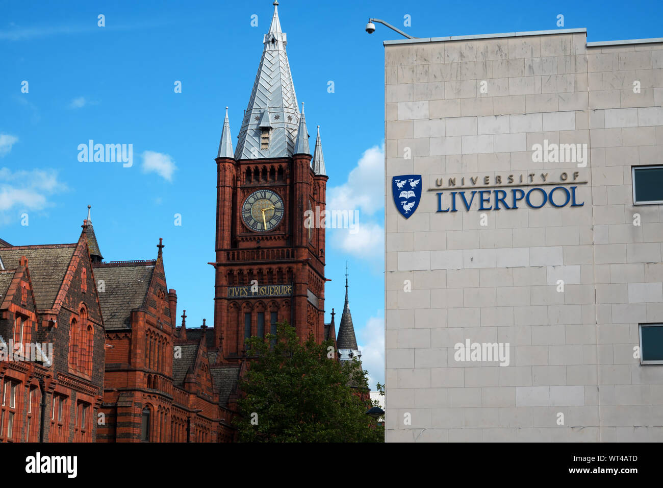 La Victoria Building dell'Università di Liverpool, noto anche come il rosso mattone University, all'angolo di Brownlow Hill e Ashton Street. Foto Stock