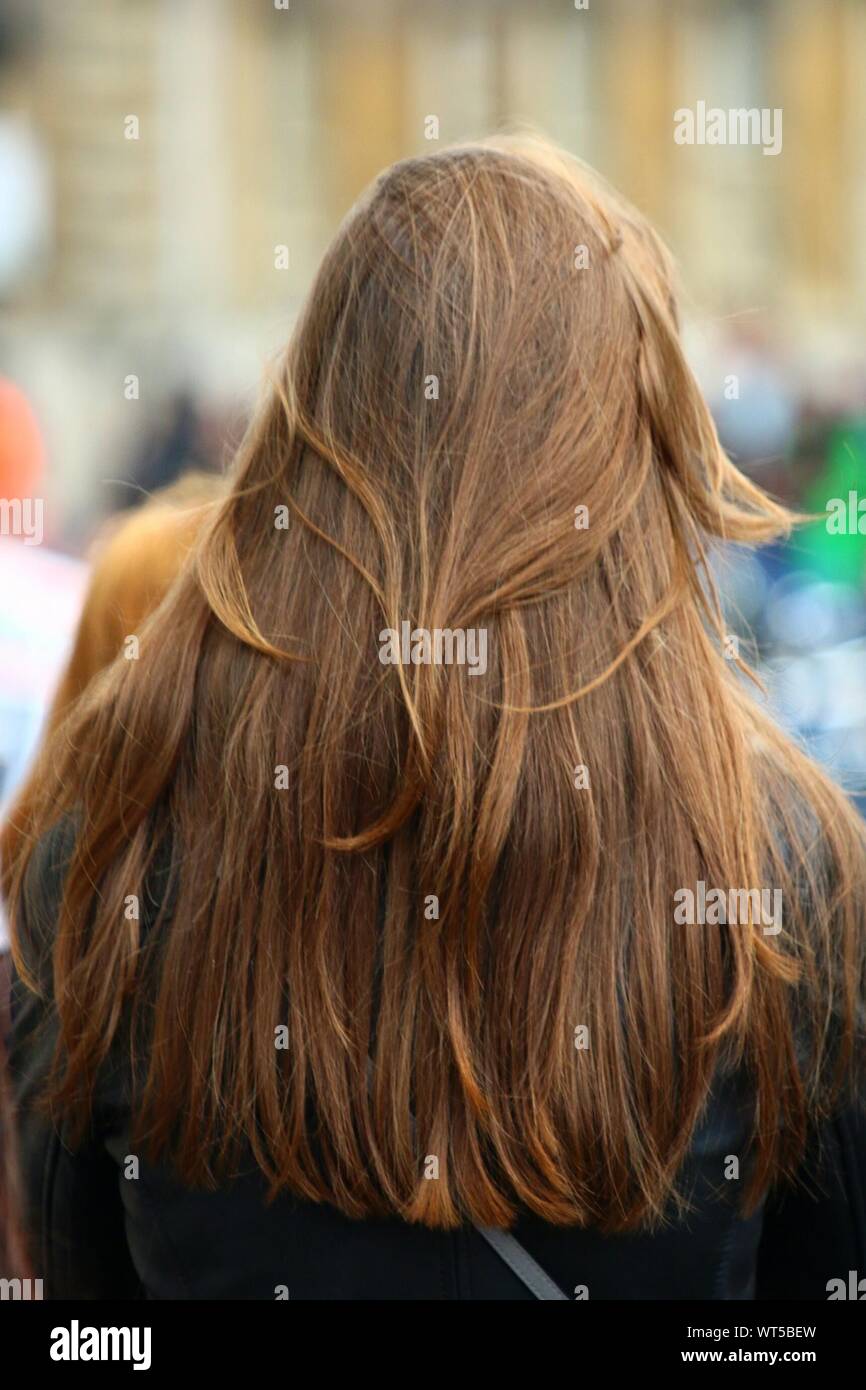 Vista posteriore di donna con capelli lunghi Foto Stock