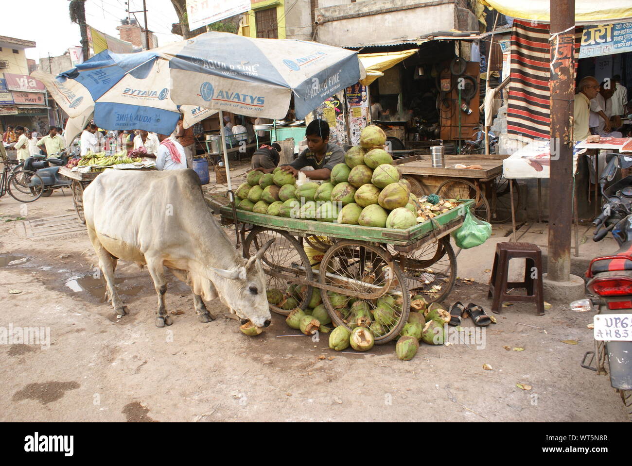 La Vecchia Delhi, Varanasi, India Foto Stock