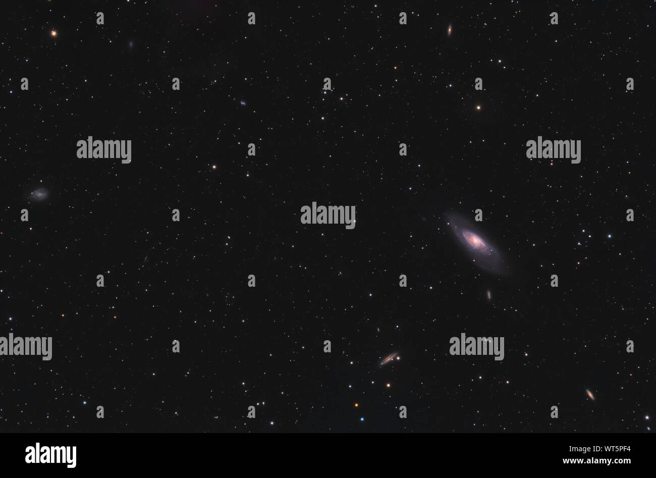 Messier 106 Galaxy Foto Stock