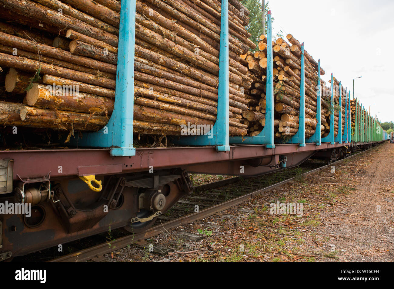 Scorta di legname. Caricamento del legname su vagoni ferroviari. Foto Stock