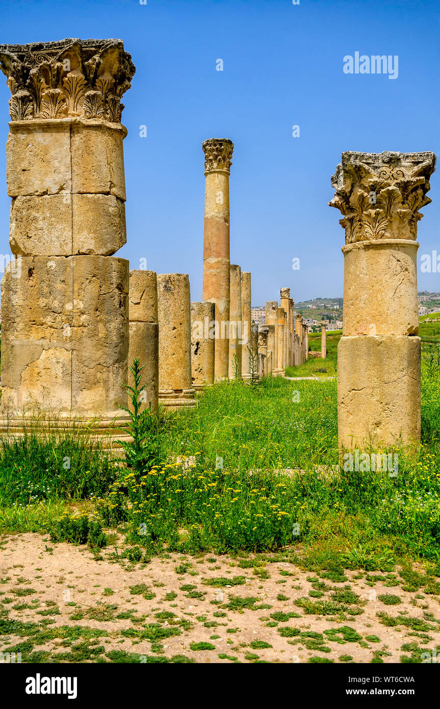 Le colonne nelle rovine di antiche testimonianze di epoca romana e città greca di Jerash Foto Stock