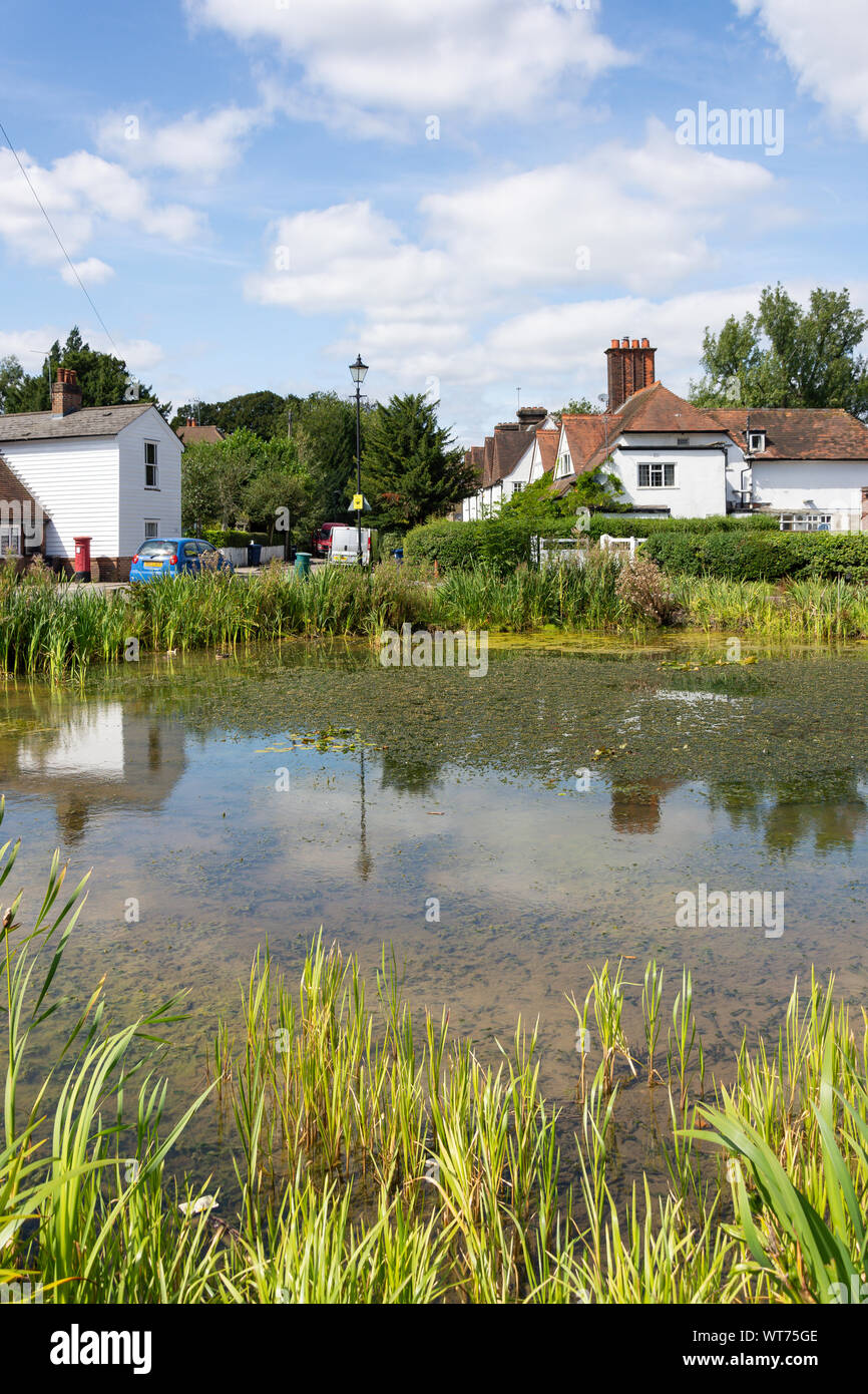 Stagno sul verde, Milespit Hill, Mill Hill Village, Mill Hill, London Borough of Barnet, Greater London, England, Regno Unito Foto Stock