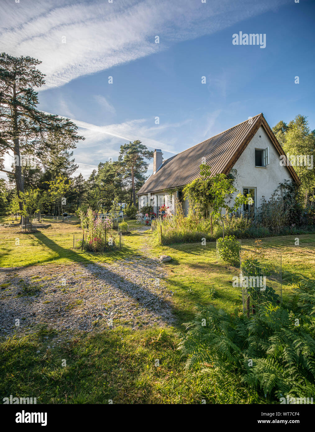 Piccolo cottage e un bellissimo giardino in un paesaggio rurale. Gotland, Svezia e Scandinavia. Foto Stock