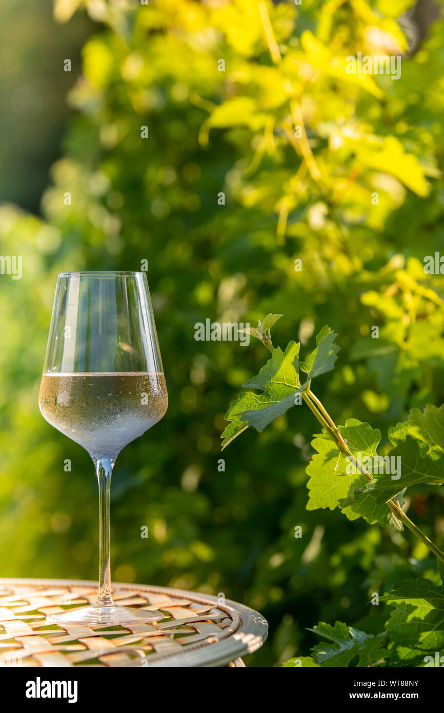 Bicchiere di vino bianco secco sulla tavola in vigna Foto Stock